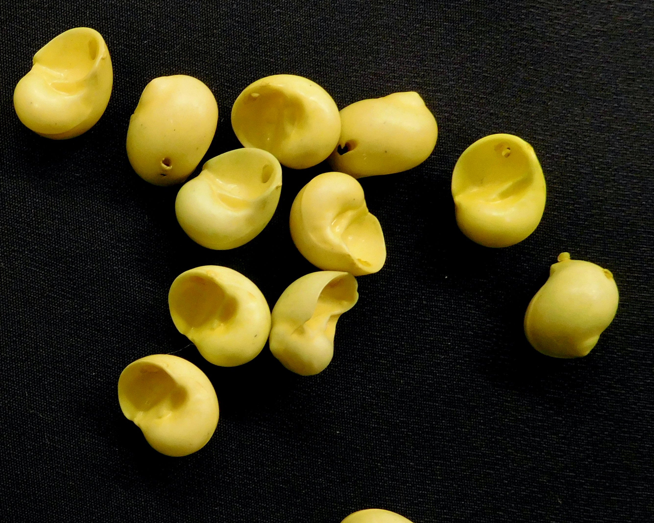 Shell-Shaped Buttons, Yellow, Bag of 12