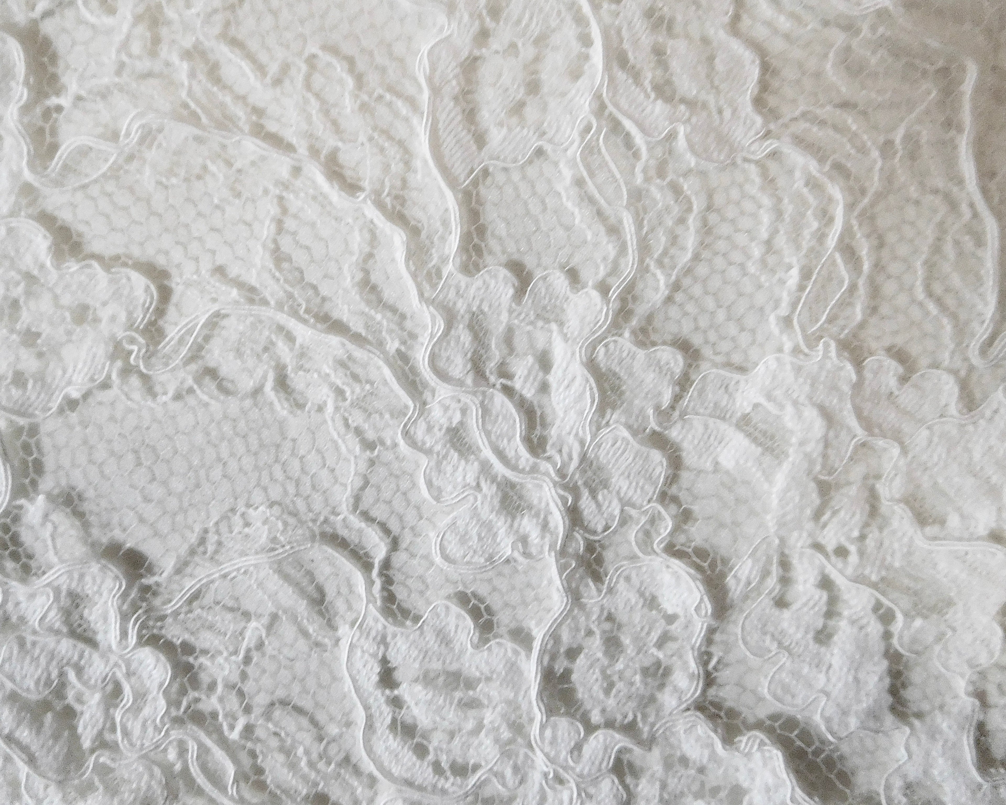 Heavily Embroidered Lace, White, Remnant (42cmx38cm)
