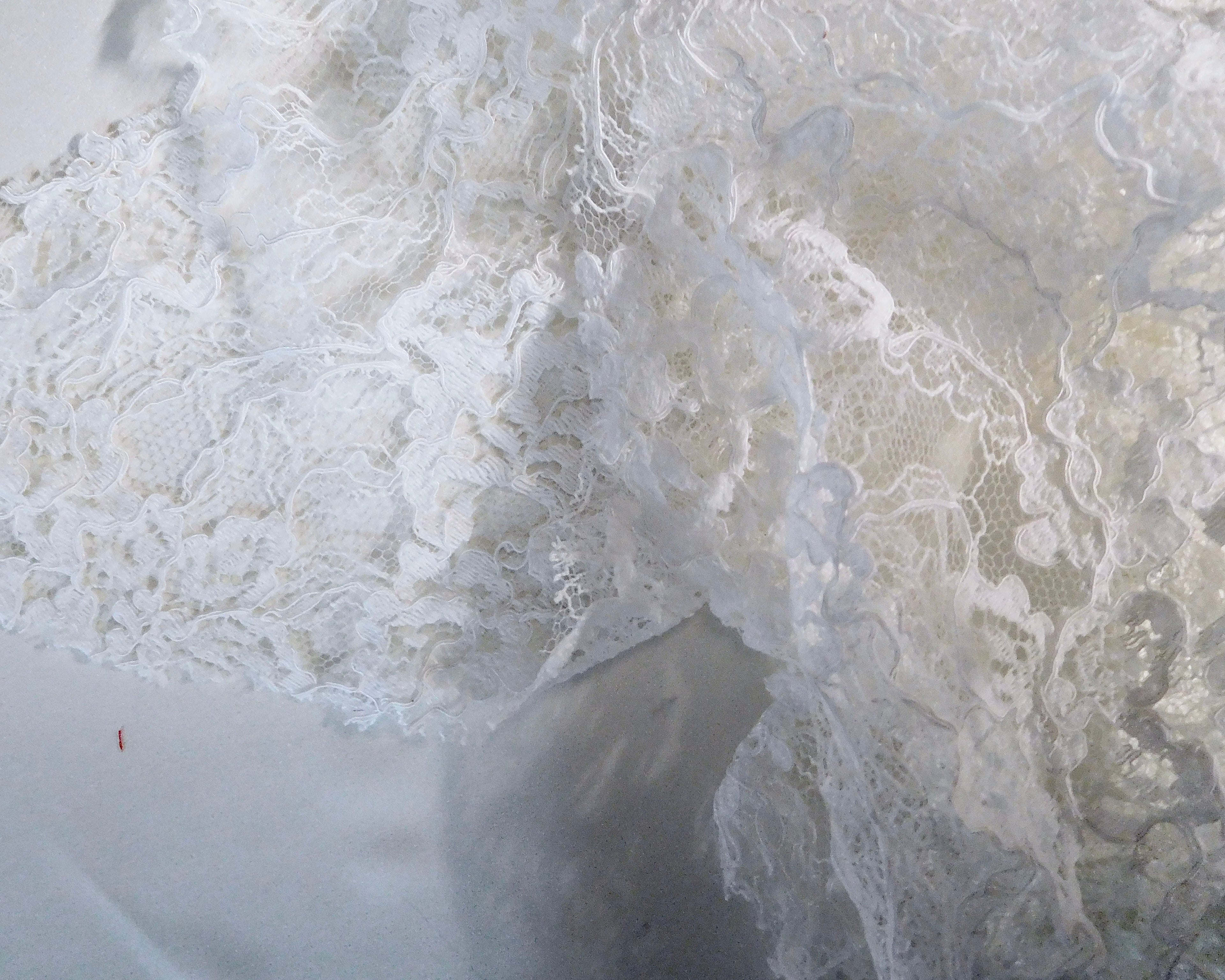 Heavily Embroidered Lace, White, Remnant (42cmx38cm)