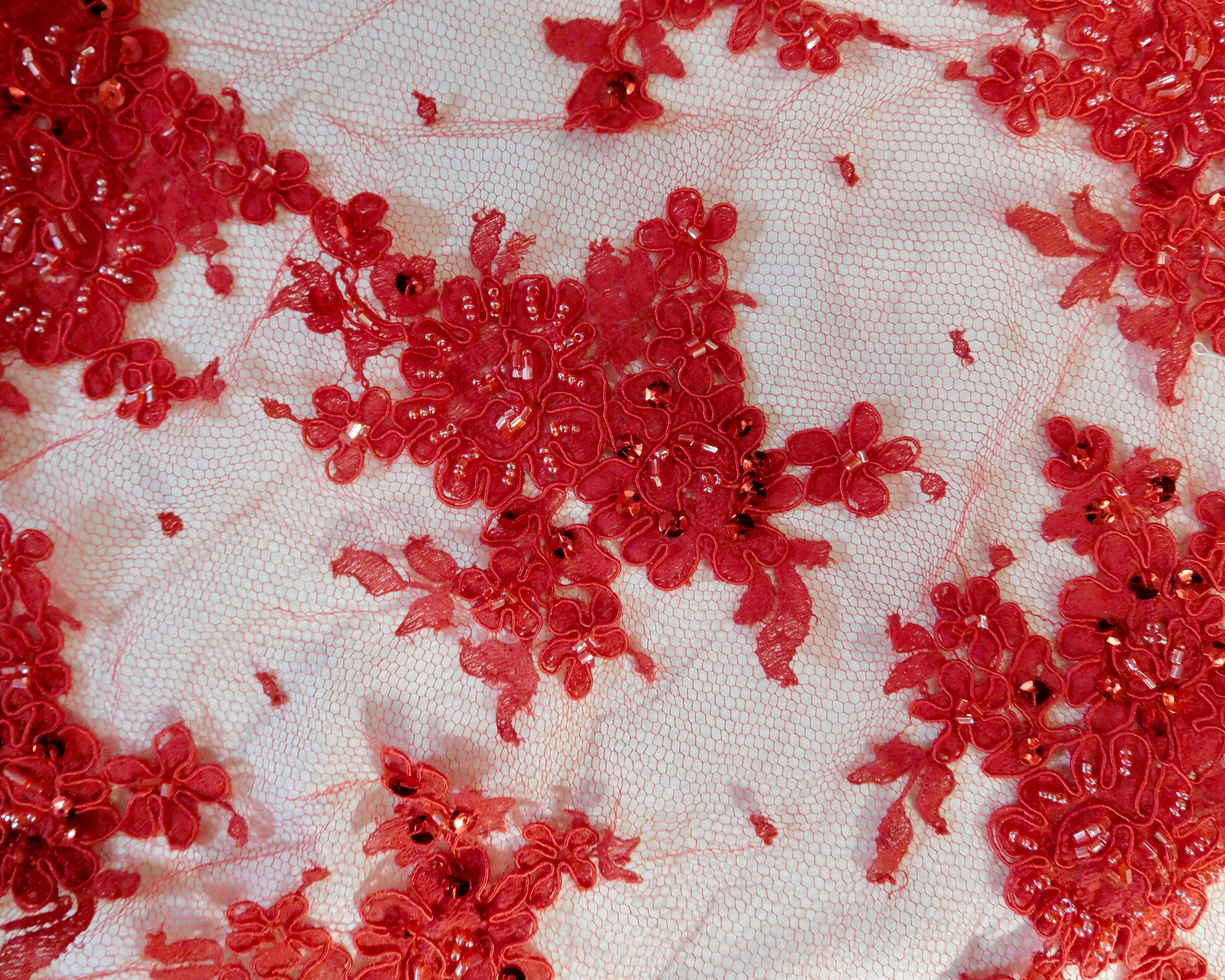 Embroidered Lace with Trim, Red, Remnant (60cmx50cm)